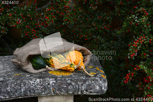 Image of Three brightly coloured gourds in sack on a stone bench