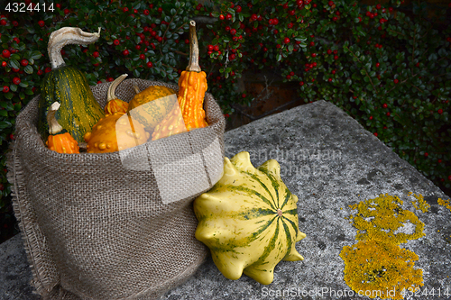 Image of Hessian sack of ornamental gourds on a stone bench 