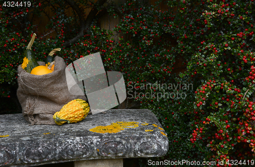 Image of Stone bench with jute sack full of ornamental gourds