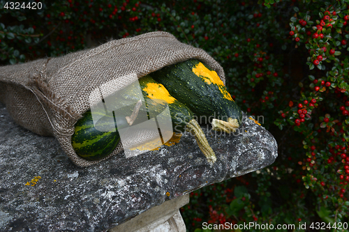 Image of Three green ornamental gourds in a rough sack