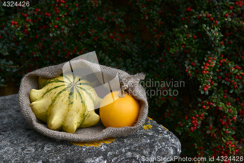 Image of Sack with Crown of Thorns and orange gourds on bench