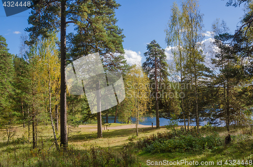 Image of Colorful autumn landscape in the forest lake, Estonia