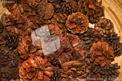 Image of Pine Cones