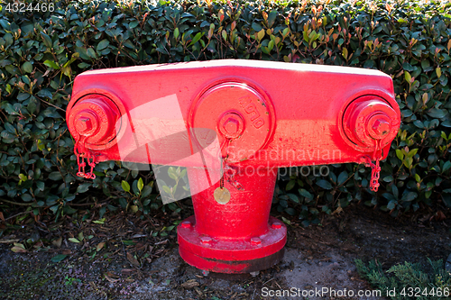 Image of Fire Hydrant