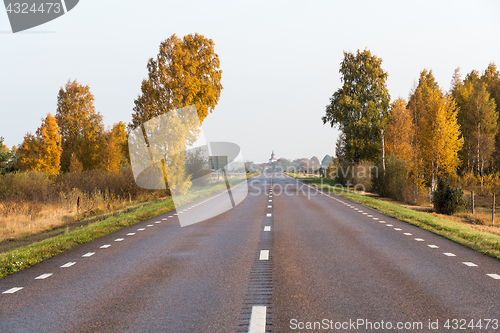 Image of Sparkling trees by roadside