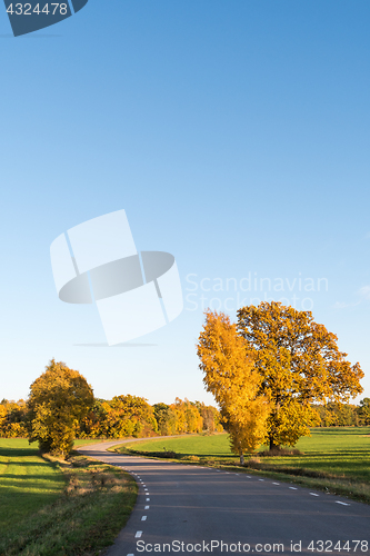 Image of Beautiful country road by fall season