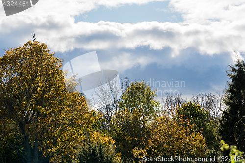 Image of Fall season with dark clouds