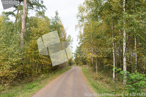 Image of Gravel road in fall season colors