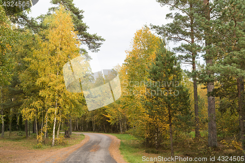 Image of Winding country road through a fall colored forest