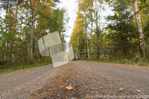 Image of Low angle image of a gravel road