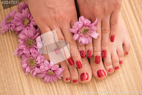 Image of female feet and hands at spa salon