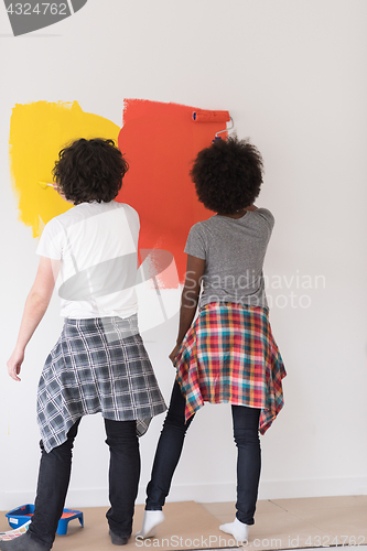 Image of multiethnic couple painting interior wall