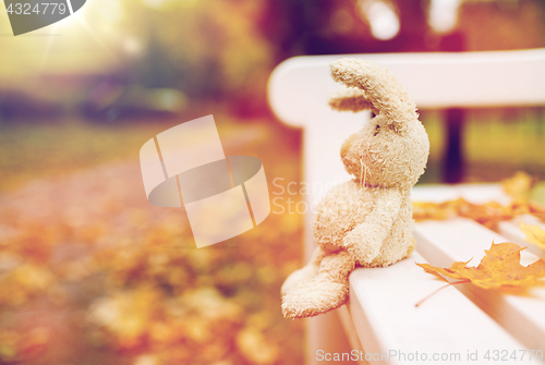 Image of toy rabbit on bench in autumn park