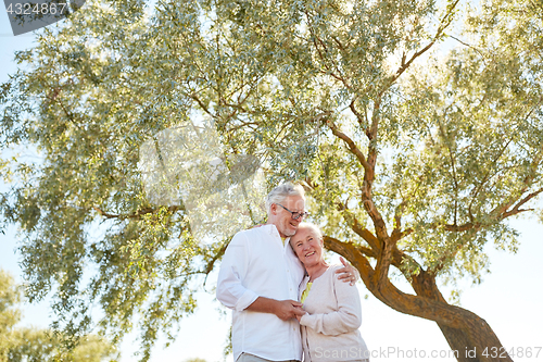 Image of happy senior couple hugging at summer park