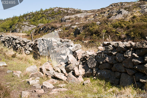 Image of Old Stone fence