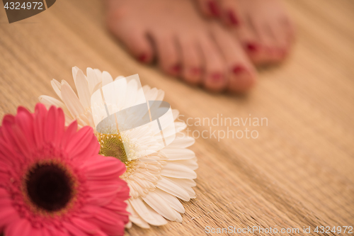 Image of female feet and hands at spa salon