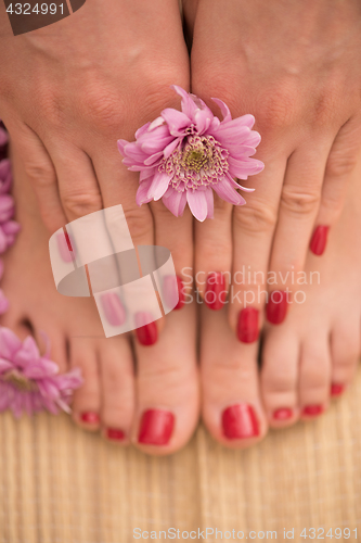 Image of female feet and hands at spa salon