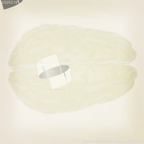 Image of 3D illustration of human brain. Vintage style.