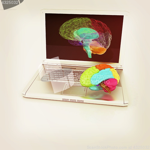 Image of creative three-dimensional model of real human brain and scan on