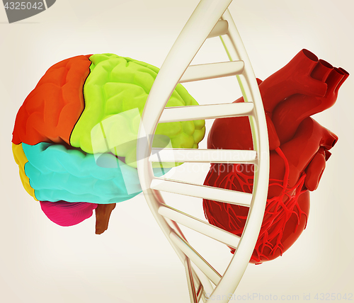 Image of DNA, brain and heart. 3d illustration. Vintage style.
