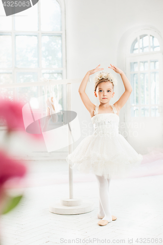 Image of Little ballerina girl in a tutu. Adorable child dancing classical ballet in a white studio.