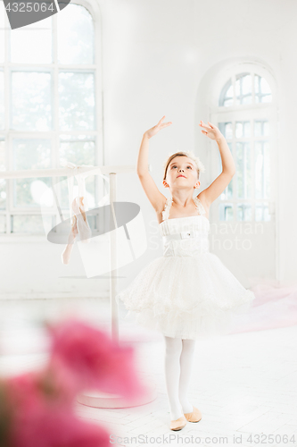 Image of Little ballerina girl in a tutu. Adorable child dancing classical ballet in a white studio.