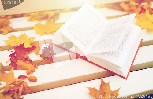 Image of open book on bench in autumn park