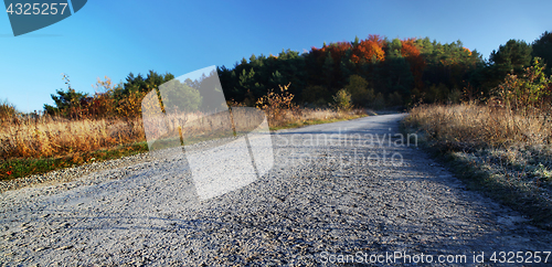 Image of countryside road in autumn day