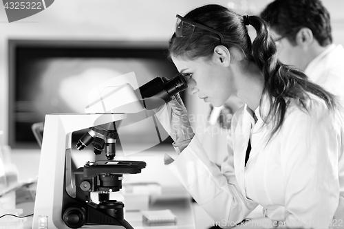 Image of Life scientist researching in the laboratory.