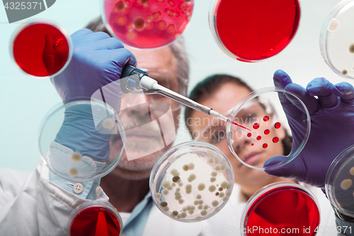 Image of Life scientists researching in the health care laboratory.