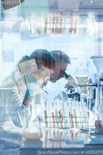 Image of Health care researchers working in scientific laboratory.