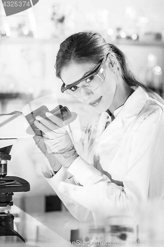 Image of Female health care researchers working in scientific laboratory.