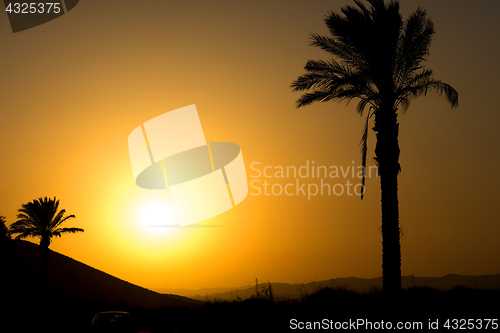 Image of Golden Andalusian sunset