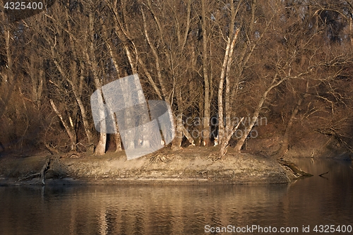 Image of Lakeside autumn landscape