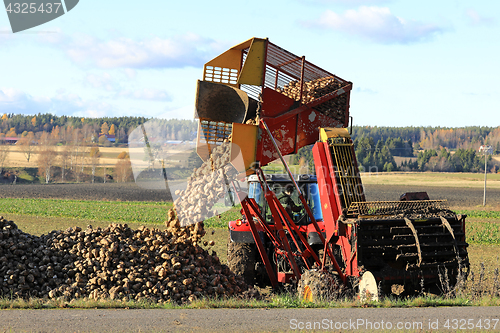 Image of Farmer Unloads Sugar Beet Harvester Tank