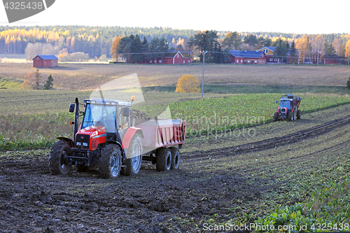 Image of Sugar Beet Harvest in October