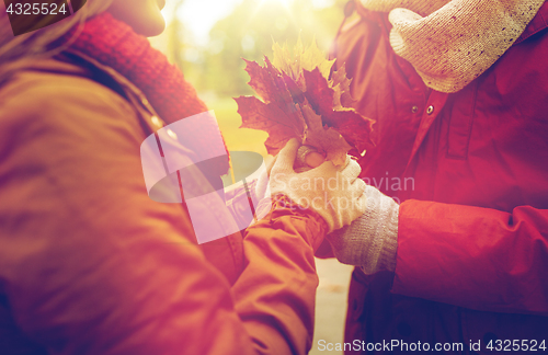 Image of close up of happy couple with autumn maple leaves