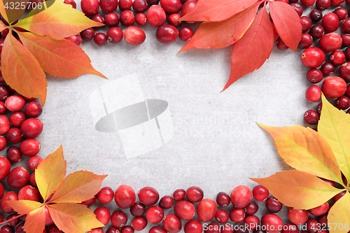 Image of Autumn frame.