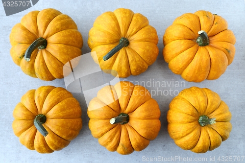 Image of Pumpkins.