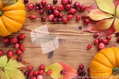 Image of Autumn frame.