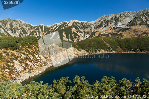 Image of Mikurigaike pond in Tateyama