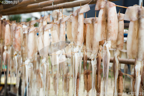Image of Dried squid hanging on the stand