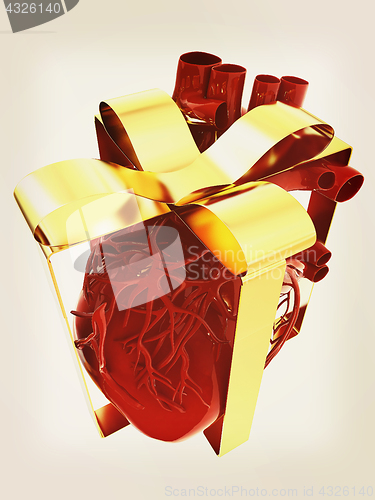 Image of Red human heart with ribbon. Donor concept. 3d illustration. Vin