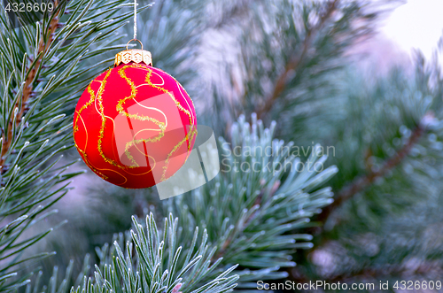Image of The branches of Christmas trees, toy