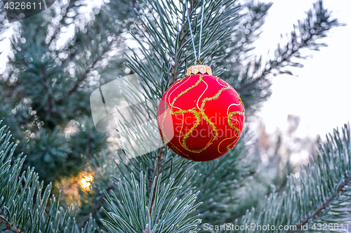 Image of The branches of Christmas trees, toy