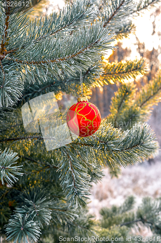 Image of The branches of Christmas trees, toy