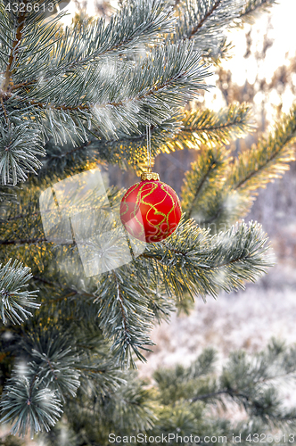 Image of The branches of Christmas trees, toy