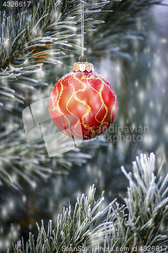 Image of The branches of Christmas trees, toy