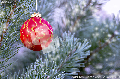 Image of New Year's ball hanging on a branch of a Christmas tree in the forest