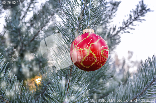 Image of New Year's ball hanging on a branch of a Christmas tree in the forest